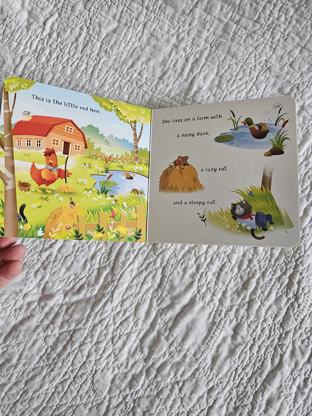 Board Books- My Firsts And Fun Stories Bundle